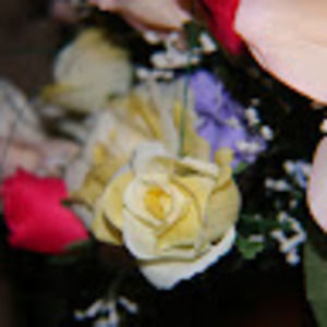 Meet your Posher, Samuel